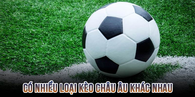 Có thể tham gia đặt cược châu Âu ở nhiều nội dung khác nhau