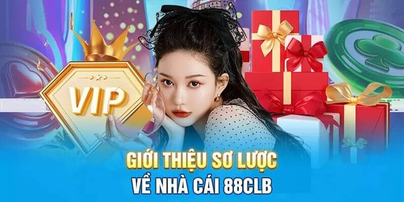 Quá trình trưởng thành và tìm vị thế của nhà cái